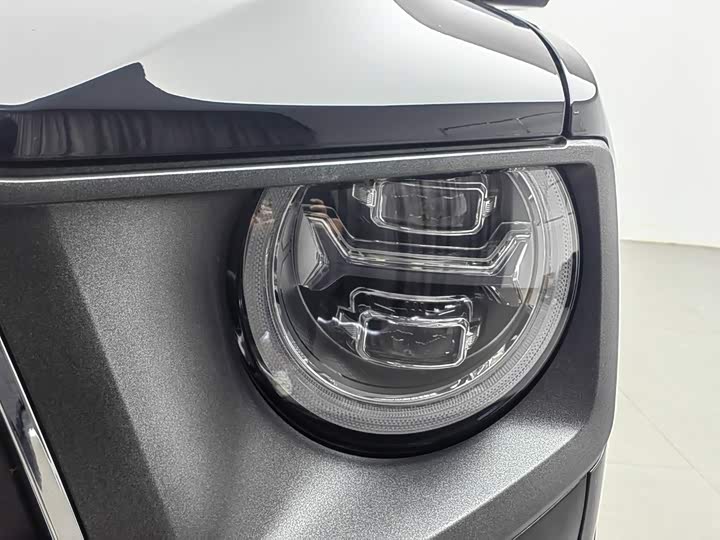 Haval H-Dog, 2025 — фото 7 из 9
