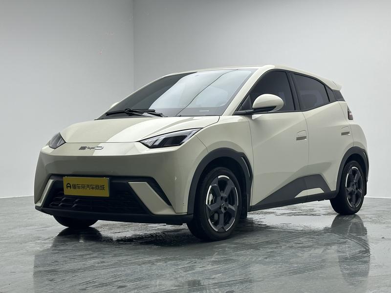 BYD Seagull, 2023 — купить в Самаре под ключ