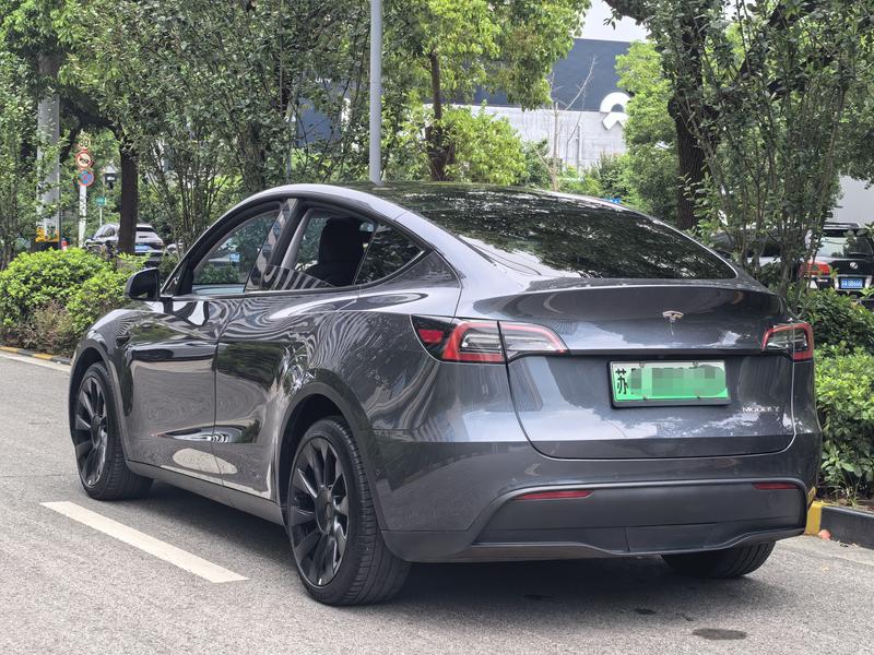 Tesla Model Y, 2021 — фото 4 из 11