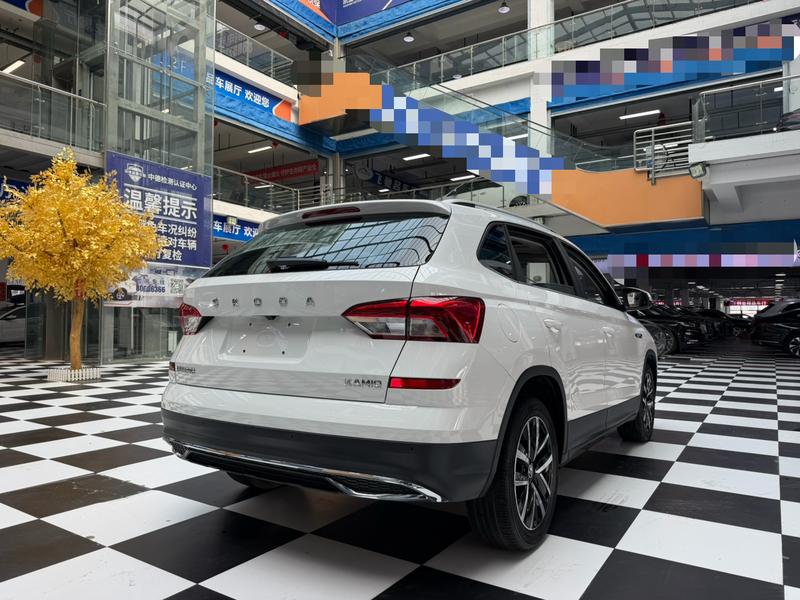 Skoda Kamiq, 2021 — фото 7 из 12