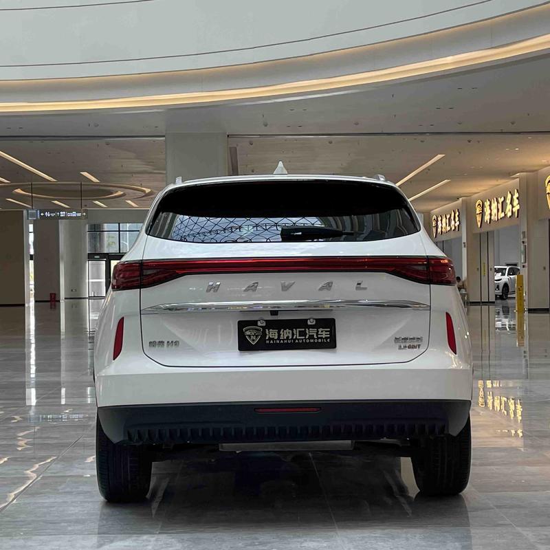 Haval H6, 2021 — фото 5 из 12
