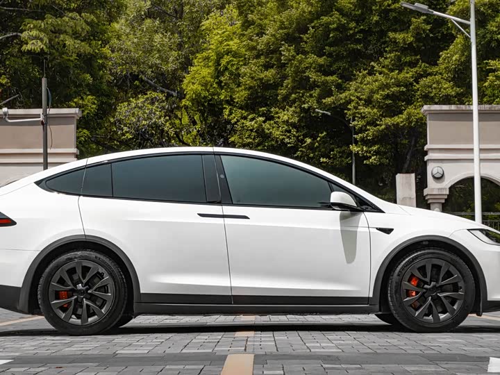 Tesla Model X, 2023 — фото 7 из 9