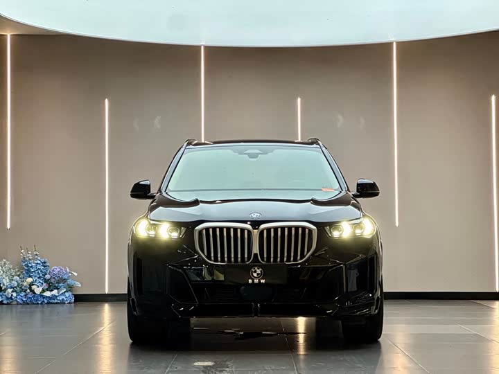 BMW X5, 2025 — фото 2 из 9