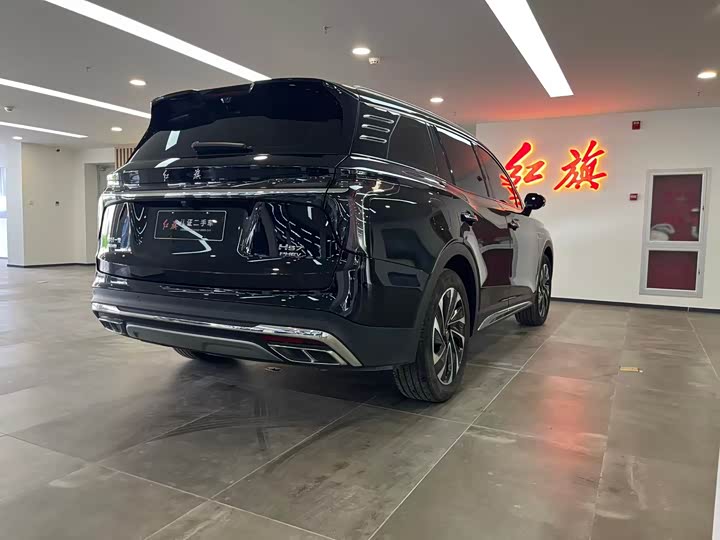 Hongqi HS7 Hybrid, 2024 — фото 6 из 9