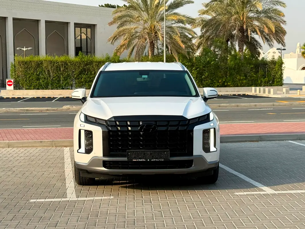 Hyundai Palisade, 2024 — фото 6 из 10