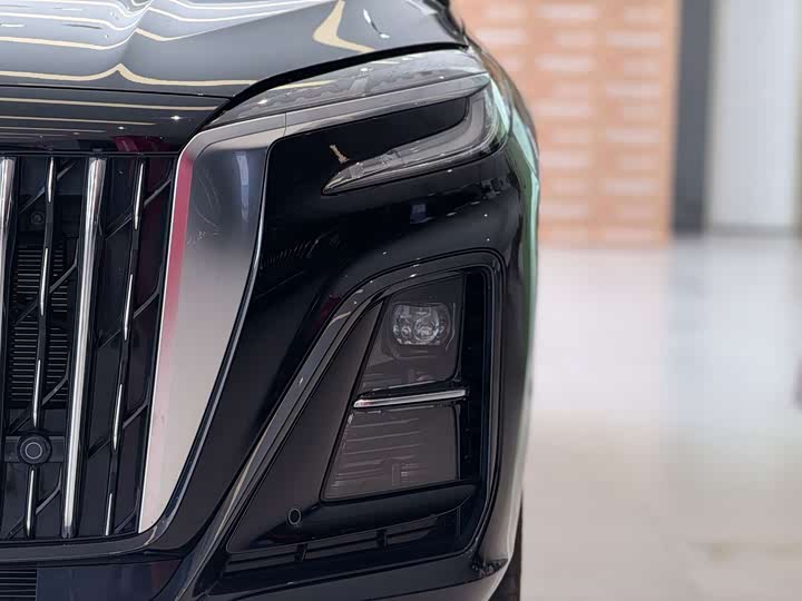 Hongqi HS3 Hybrid, 2025 — фото 9 из 9