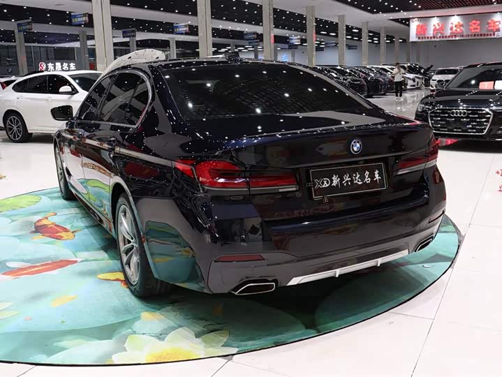 BMW 5 Series Hybrid, 2022 — фото 4 из 9
