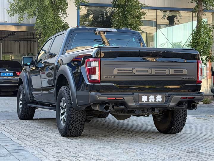 Ford F-150 Raptor, 2023 — фото 6 из 9