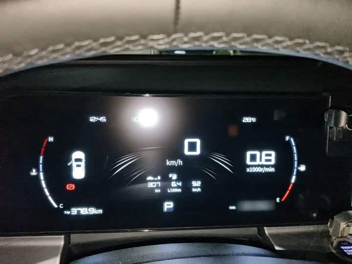 Geely Okavango Pro, 2024 — фото 4 из 9
