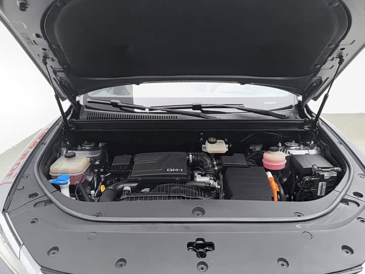 BYD Song Pro Hybrid, 2022 — фото 6 из 9