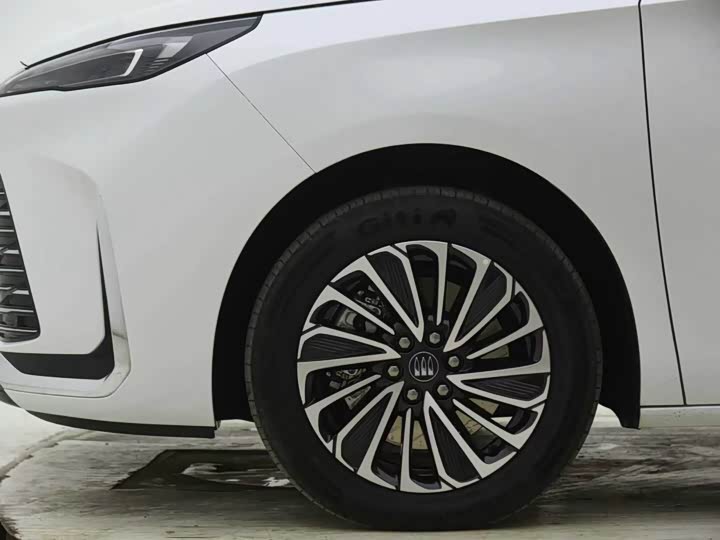 Buick GL8 Hybrid, 2025 — фото 7 из 9