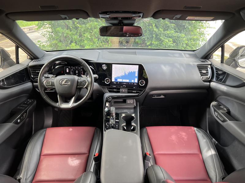 Lexus NX, 2022 — фото 7 из 12