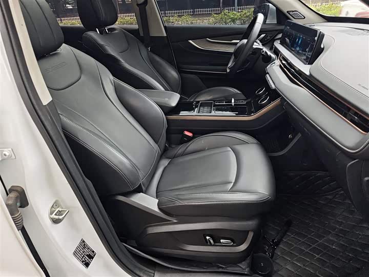 Exeed LX C-DM Hybrid, 2022 — фото 4 из 9