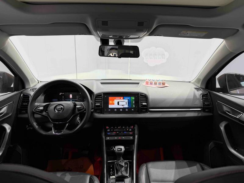 Skoda Karoq, 2023 — фото 9 из 12
