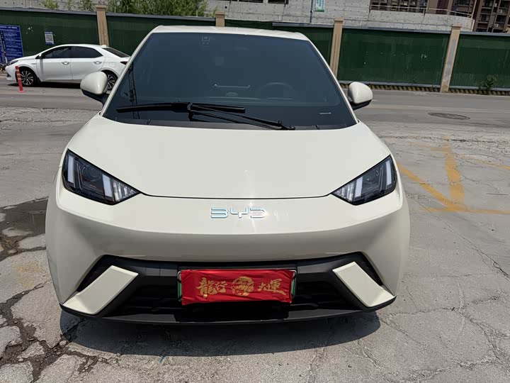 BYD Seagull, 2024 — купить в Санкт-Петербурге под ключ