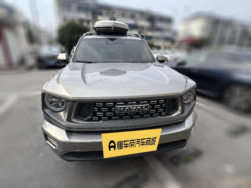 Haval H-Dog, 2023 — фото 2 из 12