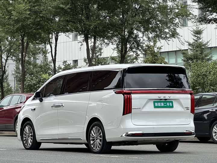 Wey 80 Hybrid, 2025 — фото 4 из 9