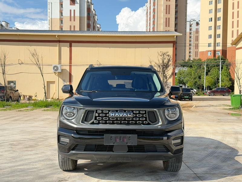 Haval H-Dog, 2023 — фото 2 из 9