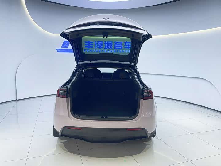 Tesla Model Y, 2021 — фото 6 из 9