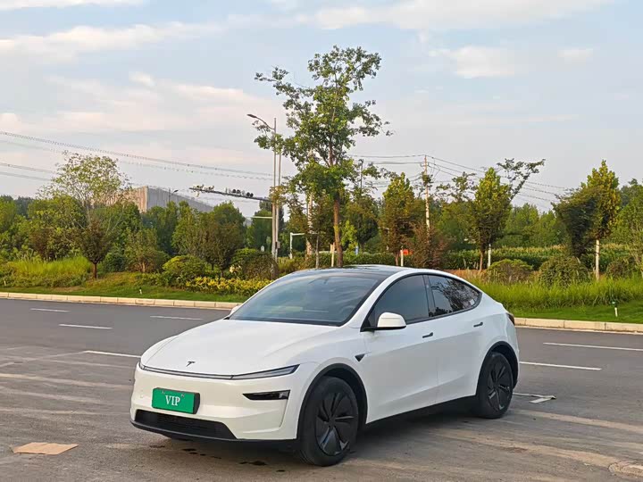 Tesla Model Y, 2026 — купить в Пензе под ключ