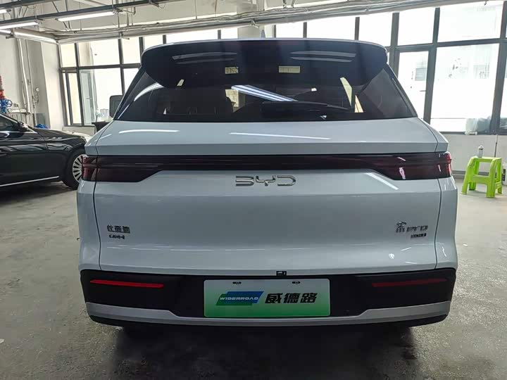 BYD Song Pro Hybrid, 2024 — фото 5 из 9