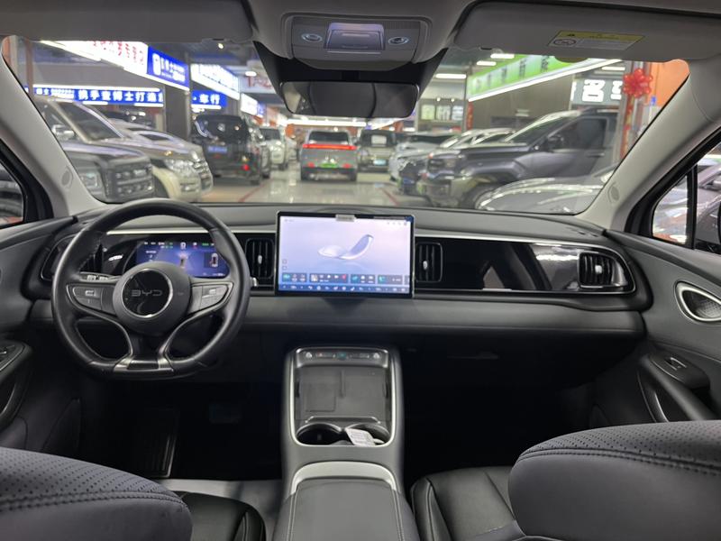 BYD Sea Lion 05 EV, 2025 — фото 7 из 12