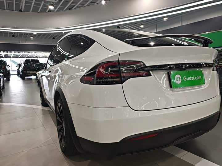 Tesla Model X, 2023 — фото 5 из 9