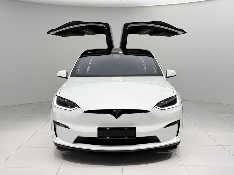 Tesla Model X, 2023 — фото 2 из 11