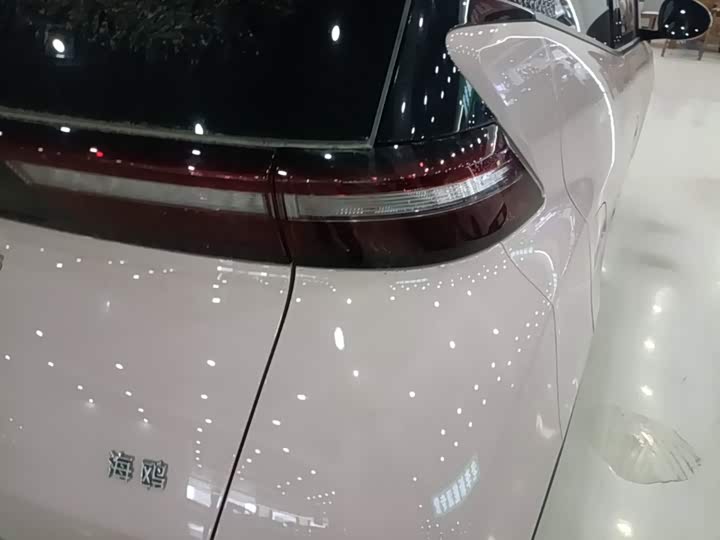 BYD Seagull, 2024 — фото 8 из 9