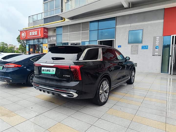 Hongqi E-HS9, 2023 — фото 9 из 9
