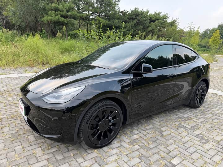 Tesla Model Y, 2022 — купить в Иванове под ключ