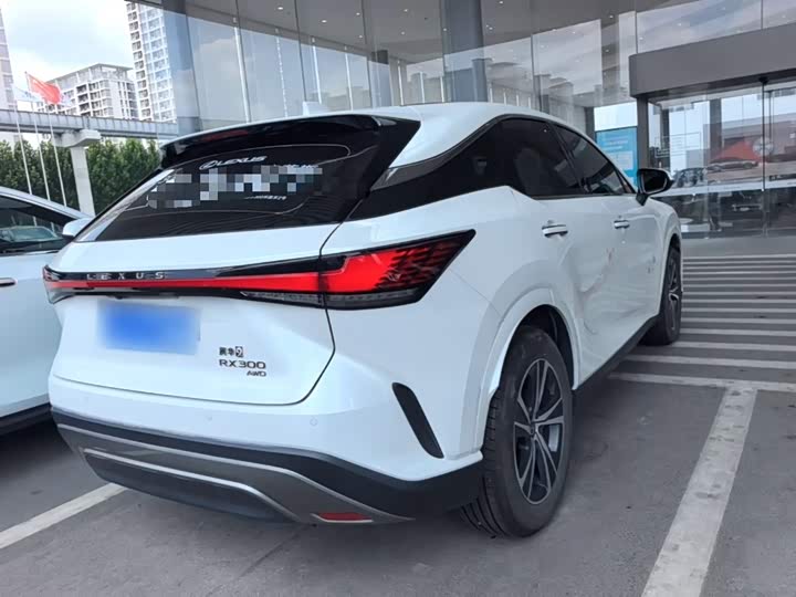 Lexus RX, 2024 — фото 7 из 9