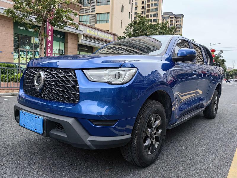 Great Wall Pao, 2022 — купить в Нижнем Новгороде под ключ