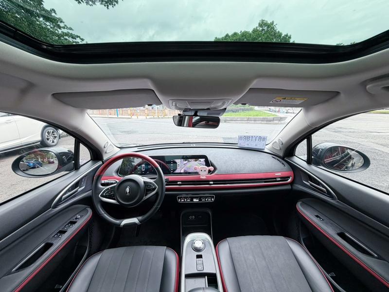 Ora Good Cat GT (03 GT), 2021 — фото 8 из 12