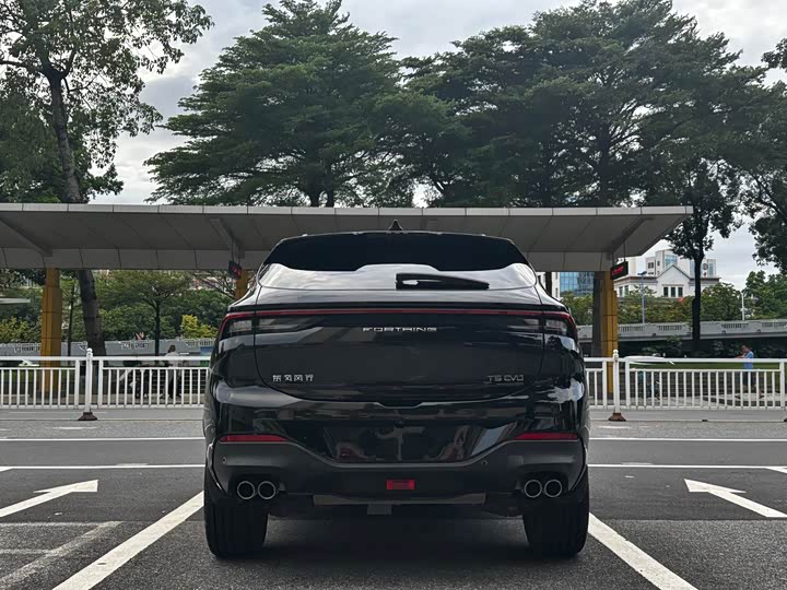Dongfeng Forthing T5 EVO, 2021 — фото 5 из 9