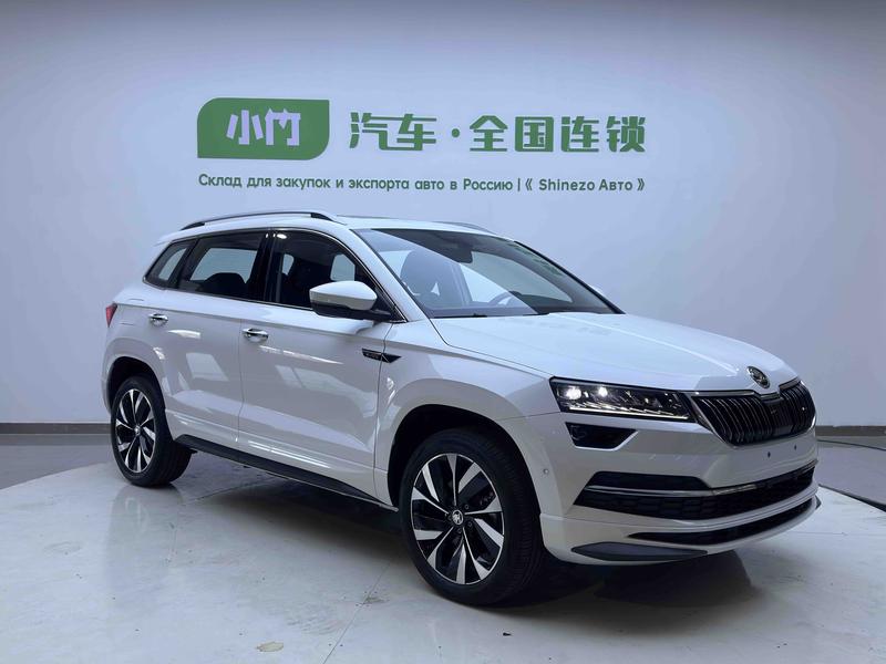Skoda Karoq, 2025 — фото 3 из 12