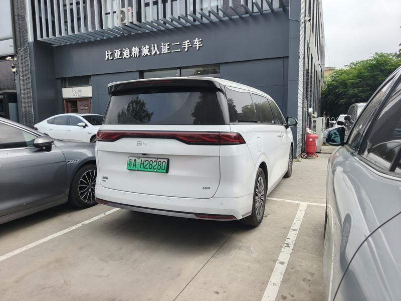 BYD M9, 2025 — фото 6 из 12