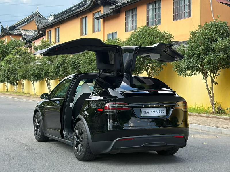 Tesla Model X, 2023 — фото 5 из 8