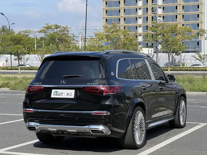 Mercedes-Benz Maybach GLS, 2021 — фото 5 из 12