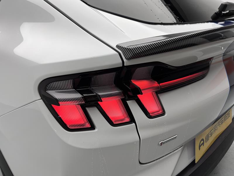 Ford Mustang Mach-E, 2023 — фото 10 из 12