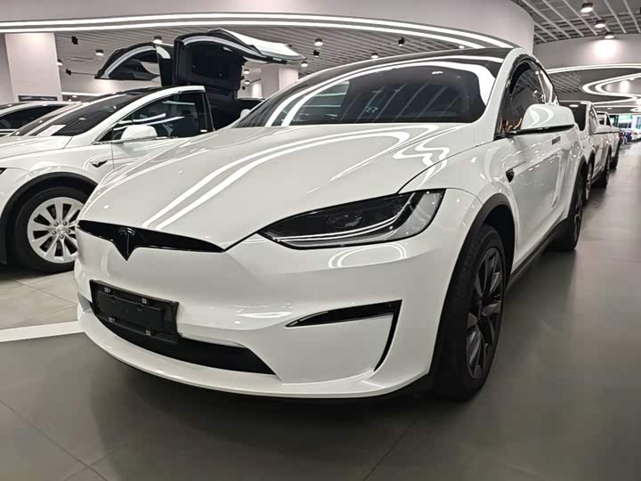Tesla Model X, 2023 — фото 2 из 9