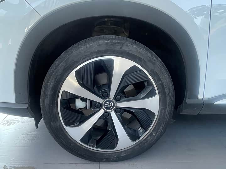 BYD Song Plus Hybrid/EV, 2021 — фото 3 из 9