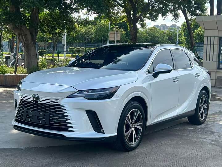 Lexus RX, 2023 — фото 3 из 9
