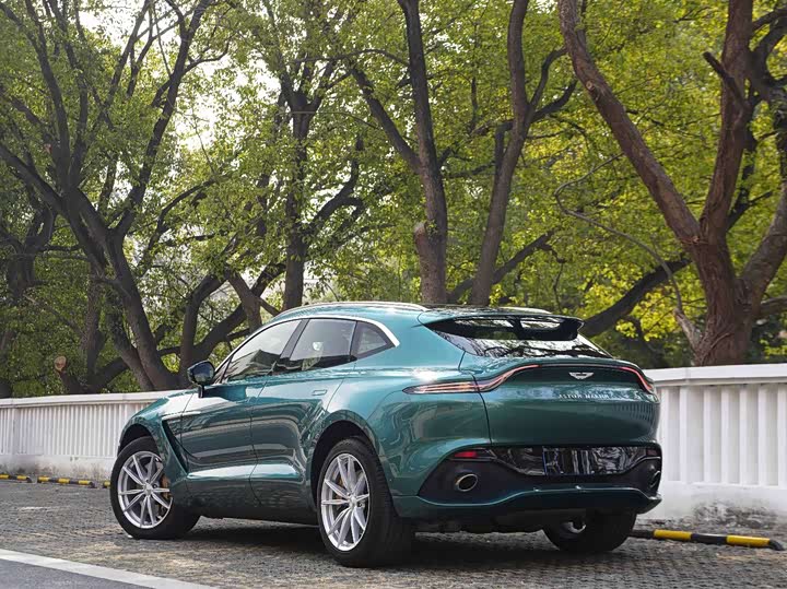 Aston Martin DBX, 2023 — фото 9 из 9