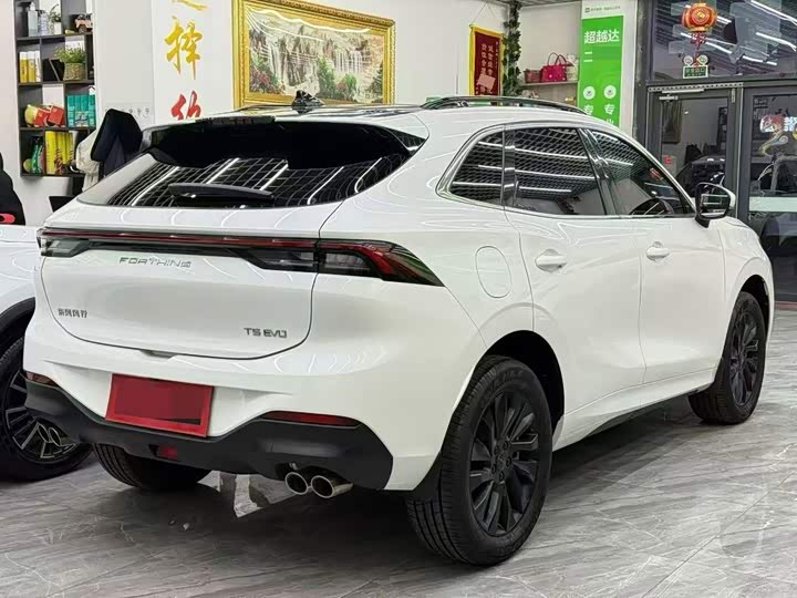 Dongfeng Forthing T5, 2023 — фото 9 из 9