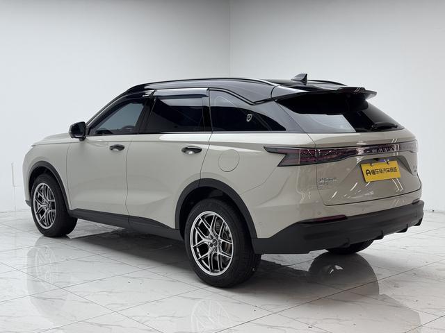 Haval Ruge Max, 2025 — фото 5 из 12