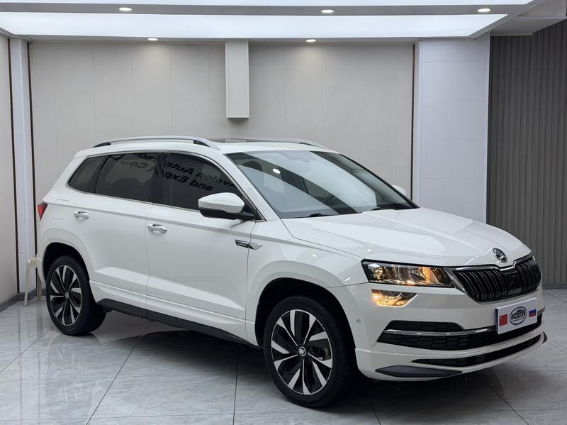 Skoda Karoq, 2022 — фото 3 из 12