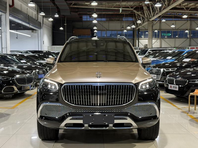 Mercedes-Benz Maybach GLS, 2022 — фото 2 из 12