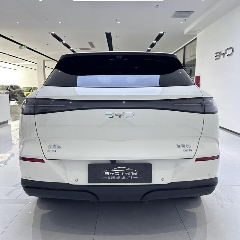 BYD Sea Lion 06 Hybrid/EV, 2025 — фото 4 из 11