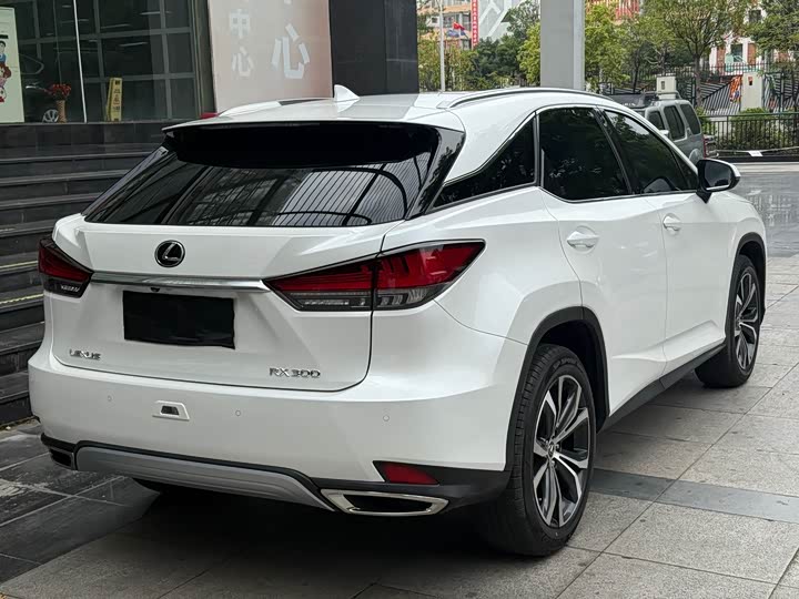 Lexus RX, 2024 — фото 9 из 9